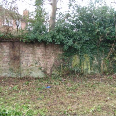 The garden after a day of toil 240109 (2)